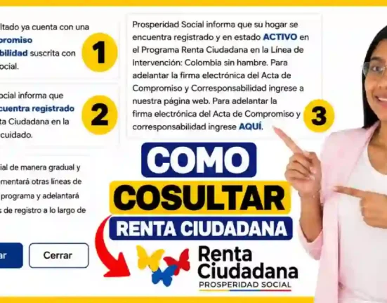 Consultar Renta Ciudadana qué significan los estados Activo, Beneficiario y No registrado