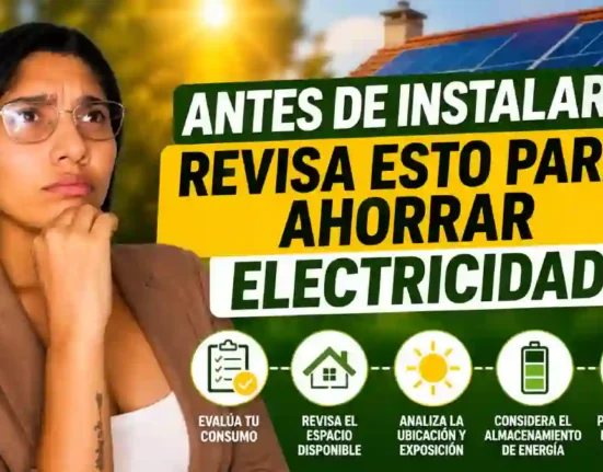 ¿Quiere ahorrar electricidad Esto debe tener en cuenta antes de instalar paneles solares