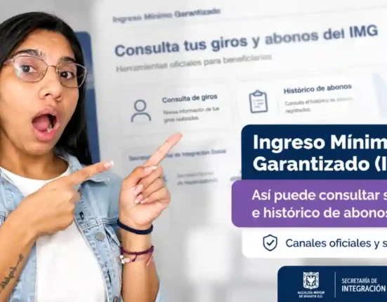 Ingreso Mínimo Garantizado así puede consultar sus transferencias y el histórico de pagos del IMG