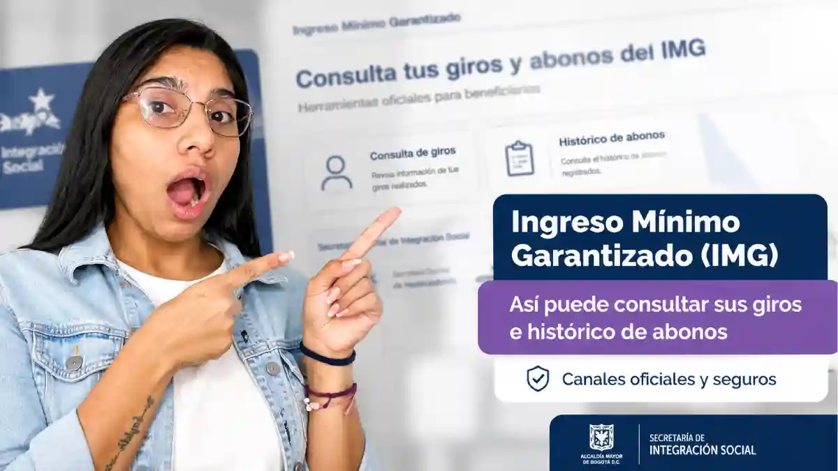Ingreso Mínimo Garantizado así puede consultar sus transferencias y el histórico de pagos del IMG