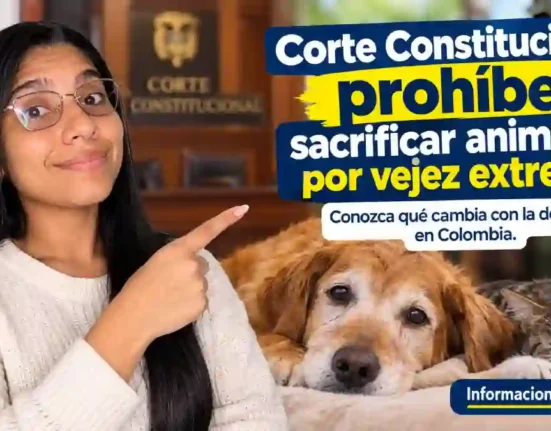 Corte Constitucional prohíbe sacrificar animales por vejez extrema